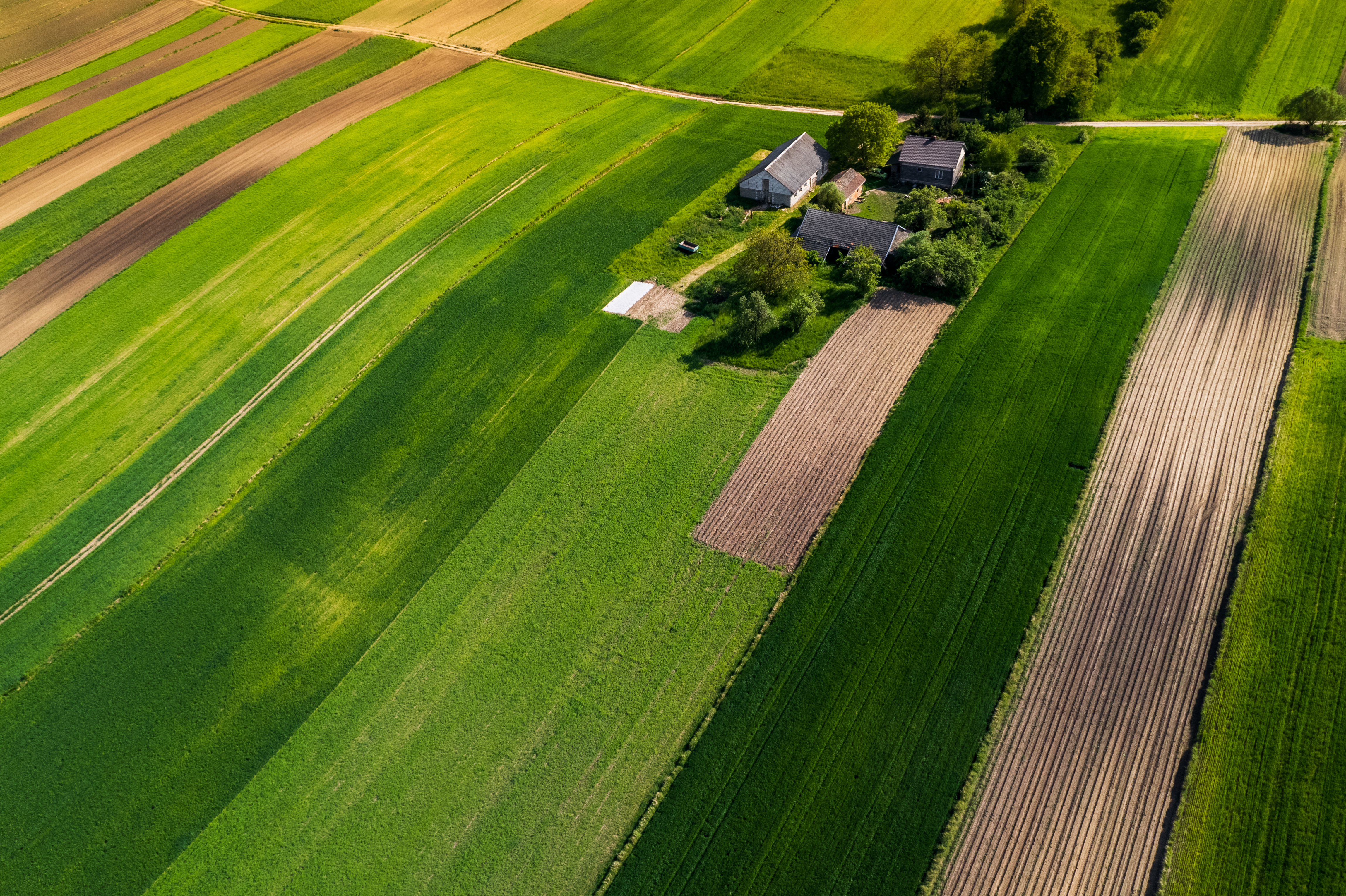 Aerial photo of farmland